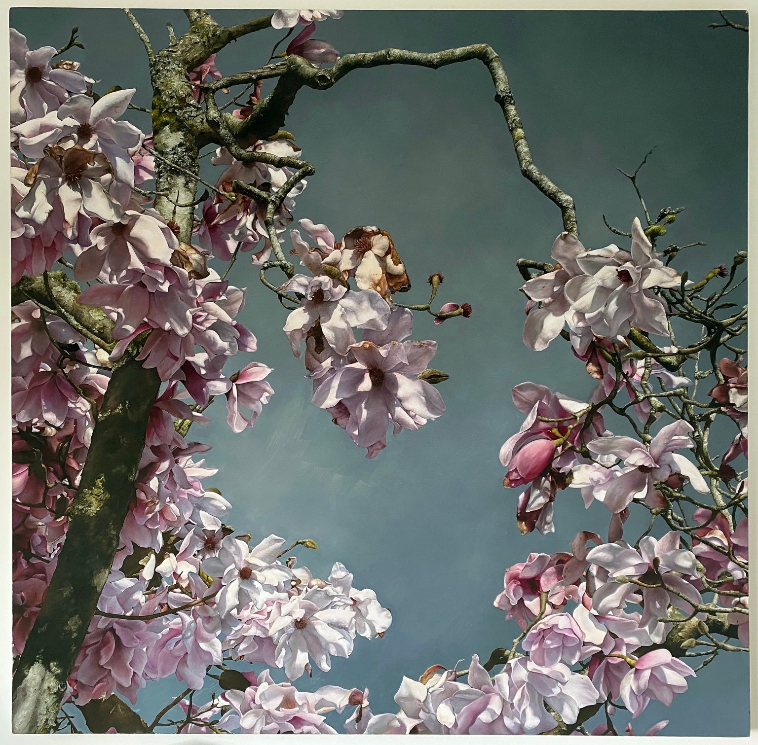 Magnolia painting by Gareth McCorry